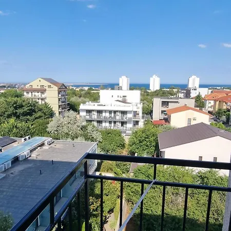 Blue Sky אפורי נורד